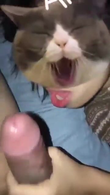 Cho con bạn thân bú con cặc khủng lút cán dâm đãng